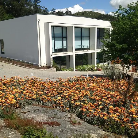 Douro Vale De Campos