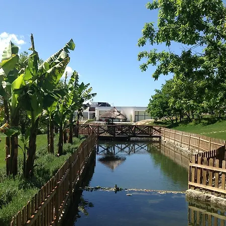 Douro Vale De Campos