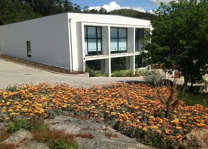 Douro Vale De Campos