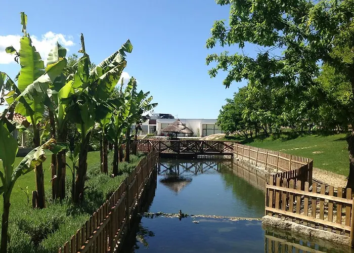 Douro Vale De Campos